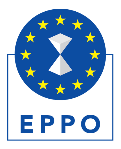 dr Anna Wolska-Bagińska powołana na stanowisko Delegowanego Prokuratora Europejskiego.