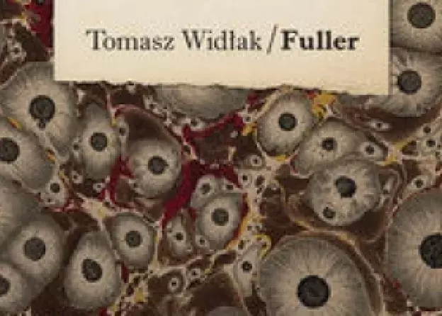 Książka pt. "Fuller" autorstwa T. Widłaka w serii Horyzonty Filozofii Prawa